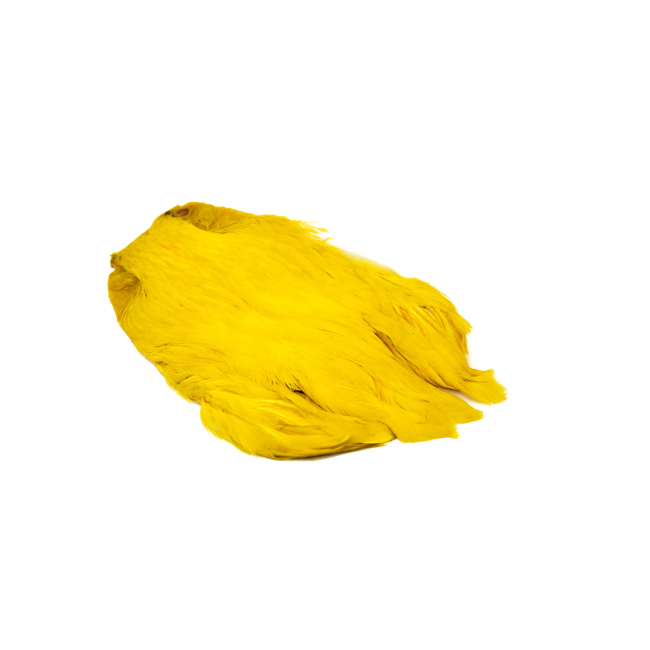 Indian Hen Neck