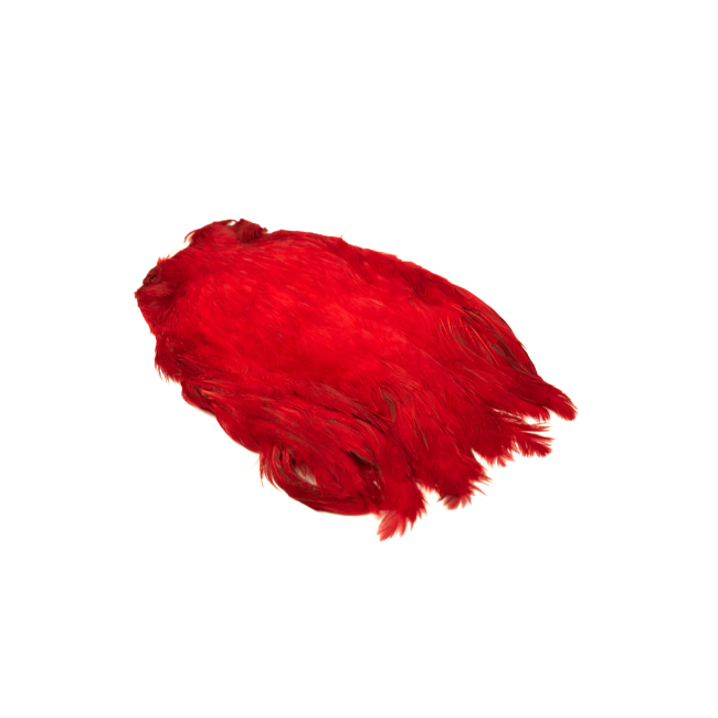 Indian Hen Neck