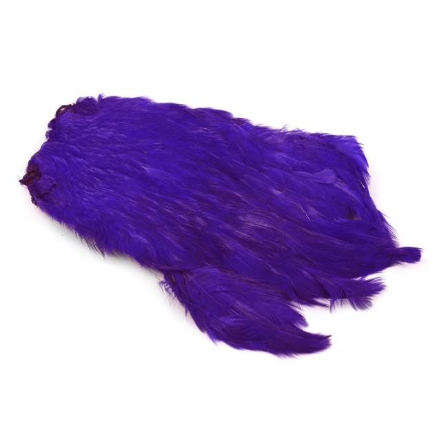 Indian Hen Neck