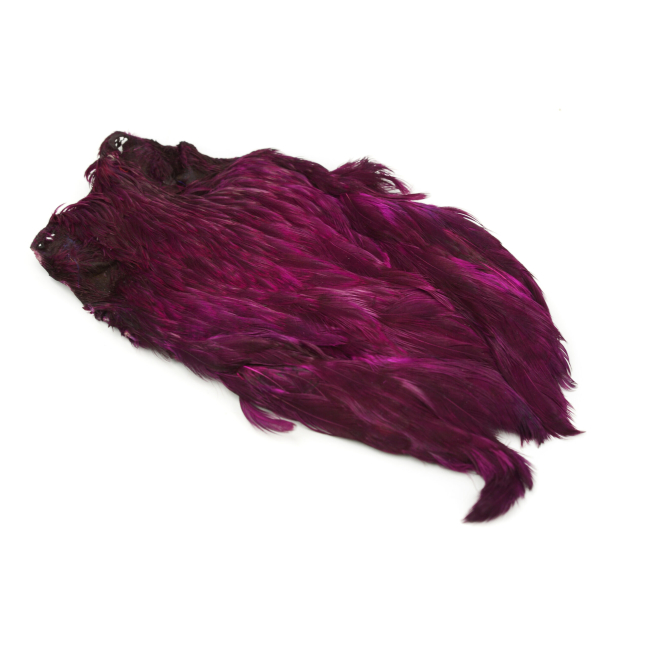 Indian Hen Neck