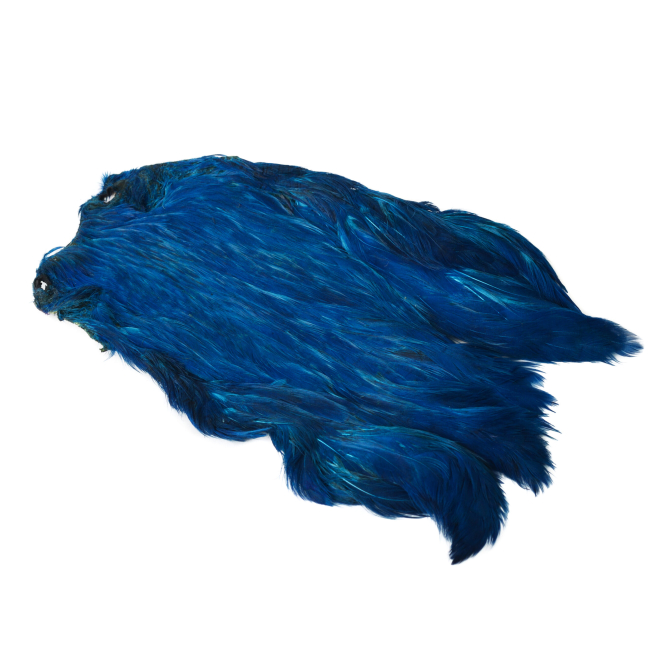 Indian Hen Neck