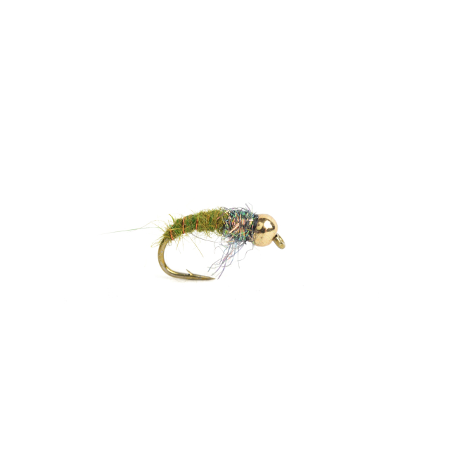 Caddis larva #12