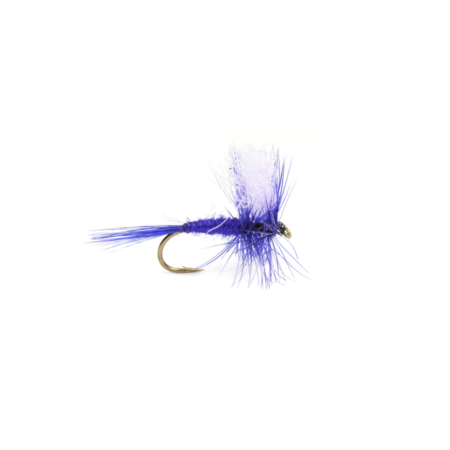 Deep Purple torr #12