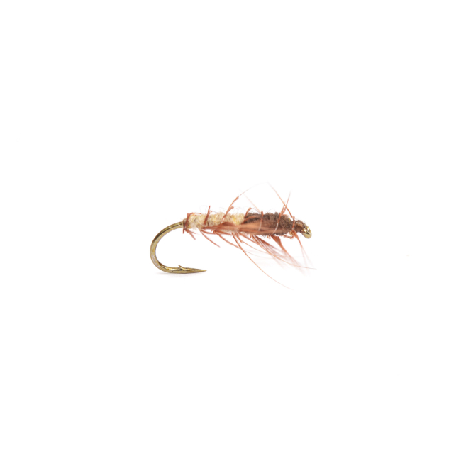 Superpuppa Cream/Brown # 12