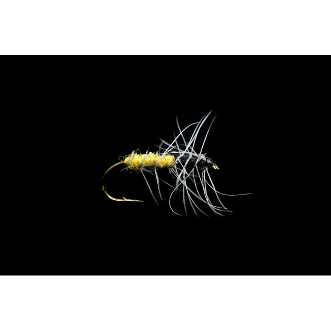Superpuppa Yellow/Black # 12