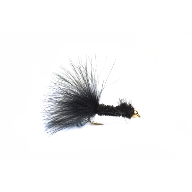Montana GH #8