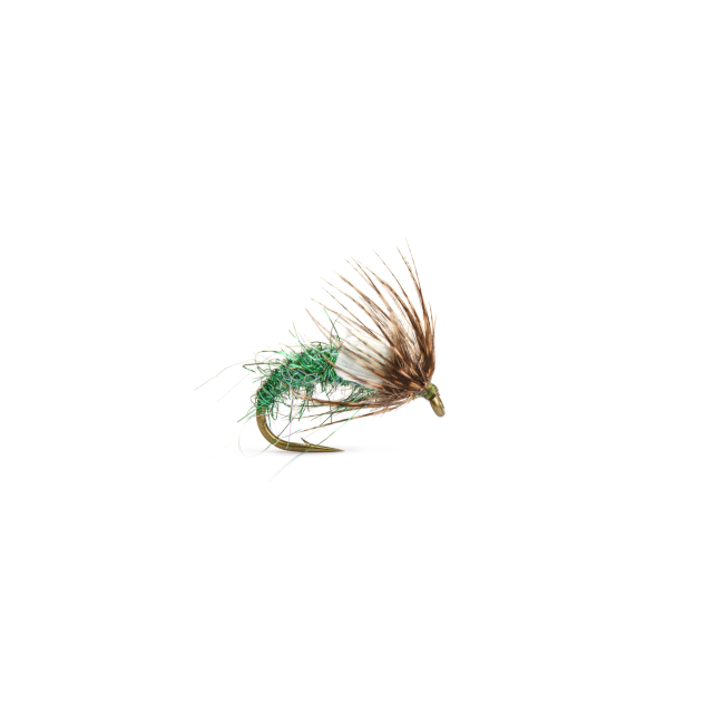 Nattsändepuppa (12-flugor)