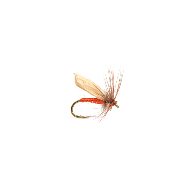 Sunken sedge (12-flugor)
