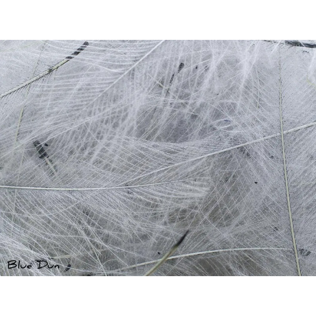 CDC Feathers 1 gr