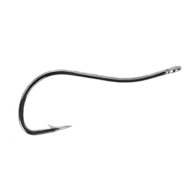 Saltwater Swimming Shrimp