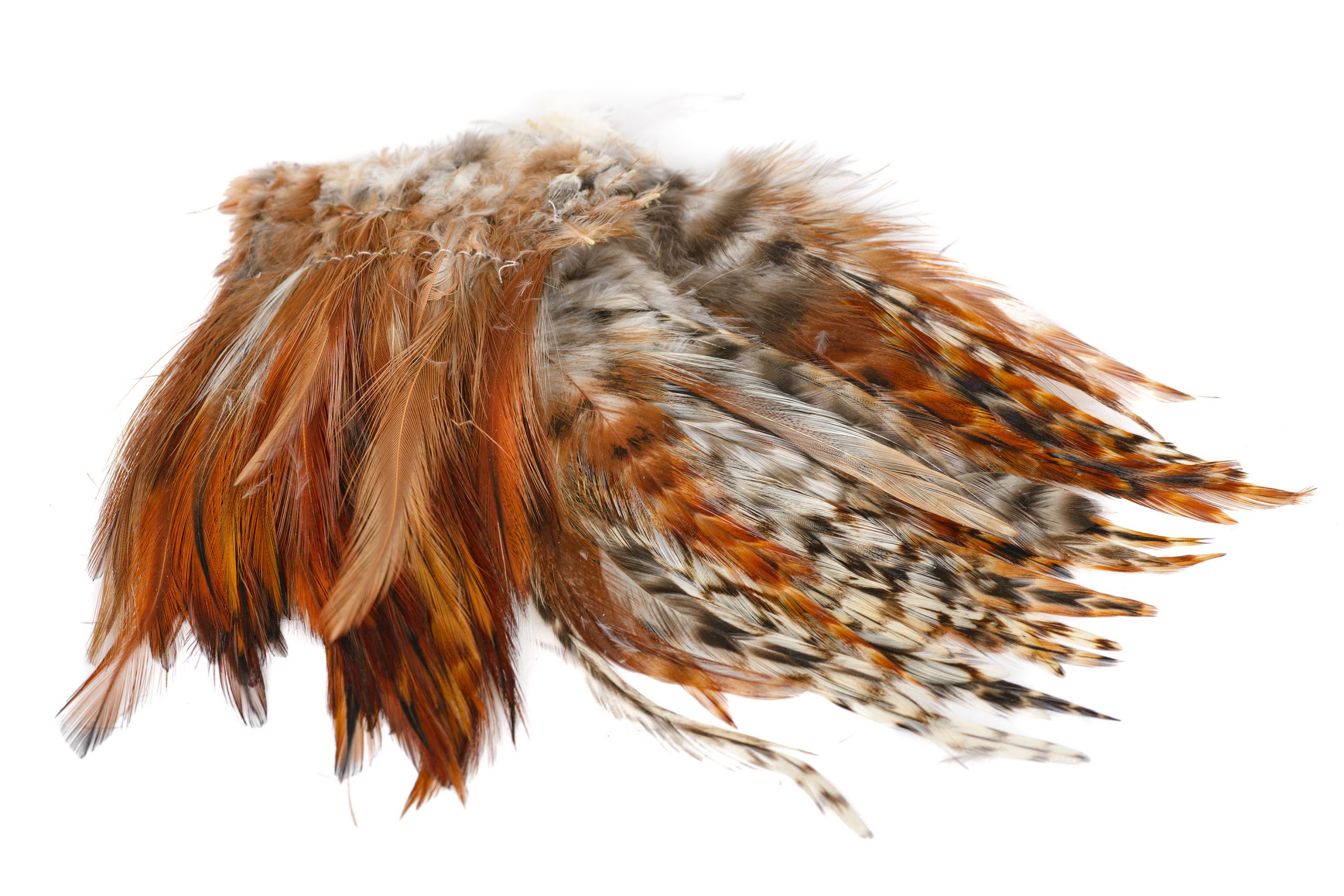 English Grey Partridge Neck Hackles – 1g Pack – Premium Fly Tying Feathers – Partridge Brand