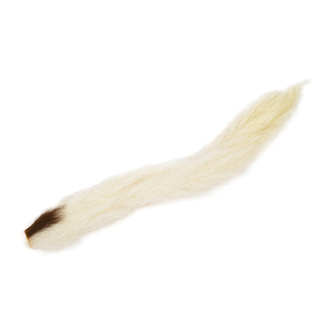 Kiptail