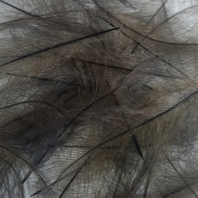 CDC Feathers 1 gr