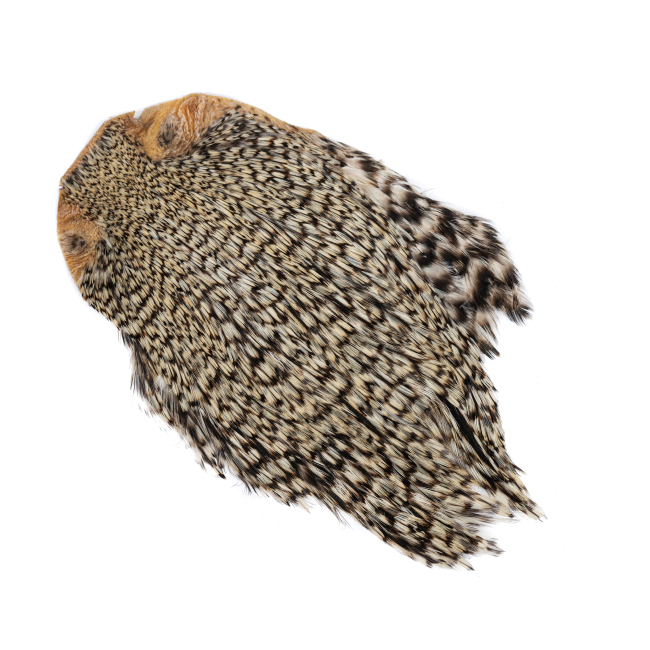 Indian Rooster Neck