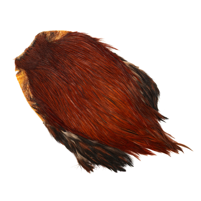 Indian Rooster Neck