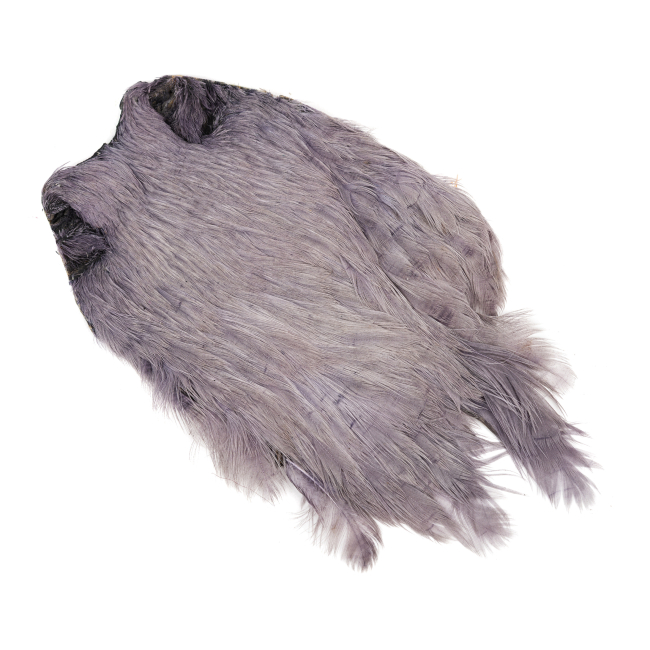 Indian Hen Neck
