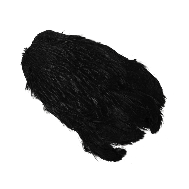 Indian Hen Neck